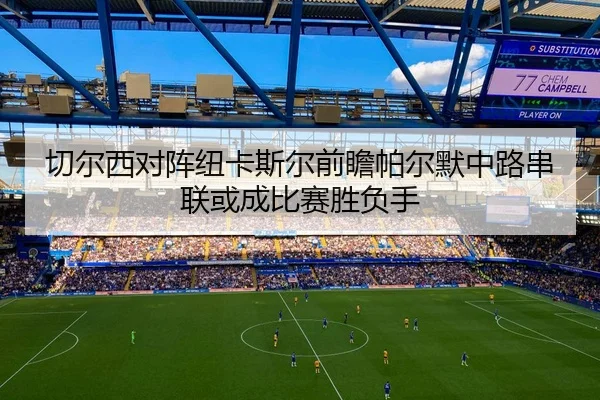 切尔西对阵纽卡斯尔前瞻帕尔默中路串联或成比赛胜负手